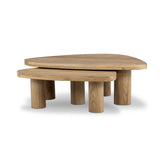 Zion Nesting Coffee Table Set